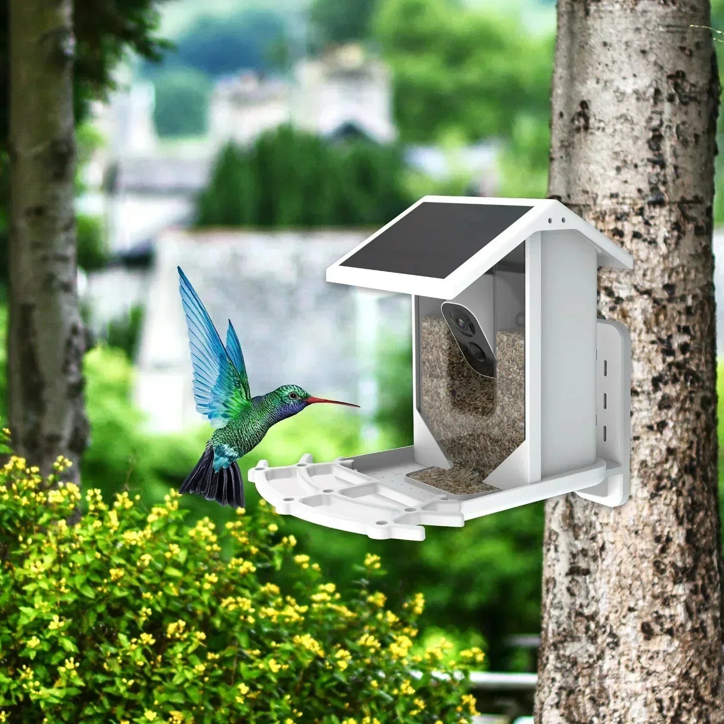 Smart Wireless Bird Feeder Camera