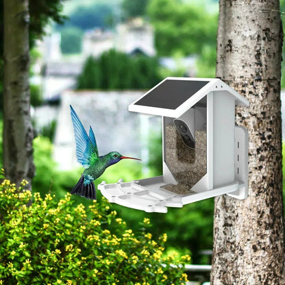 Smart Wireless Bird Feeder Camera