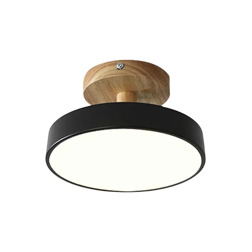 Modern Thin LED Ceiling Lamp