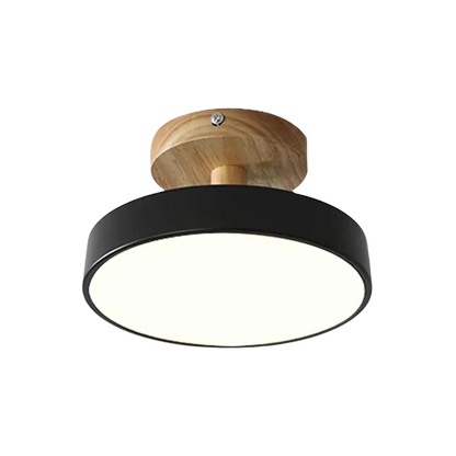Modern Thin LED Ceiling Lamp