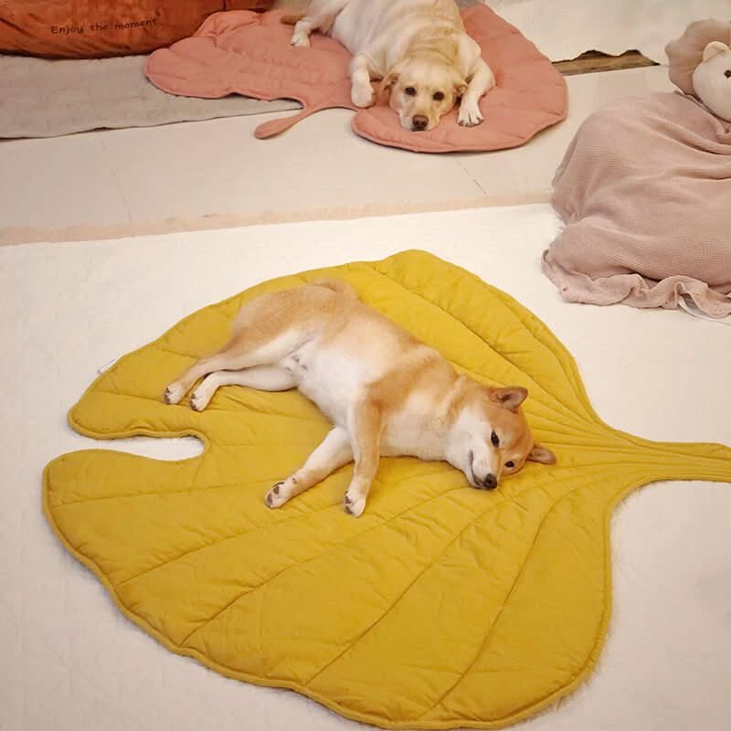 Cozy Leaf Shaped Pet Blanket - Luxicro