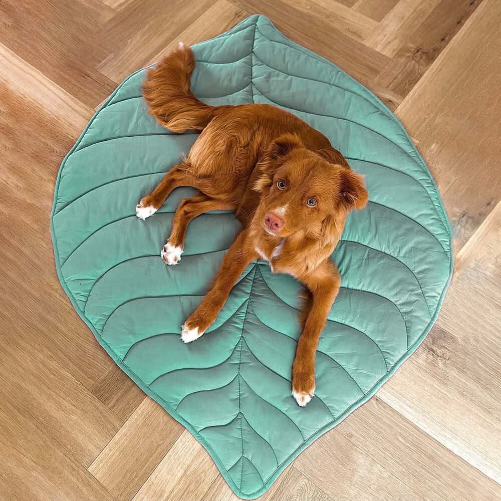 Cozy Leaf Shaped Pet Blanket