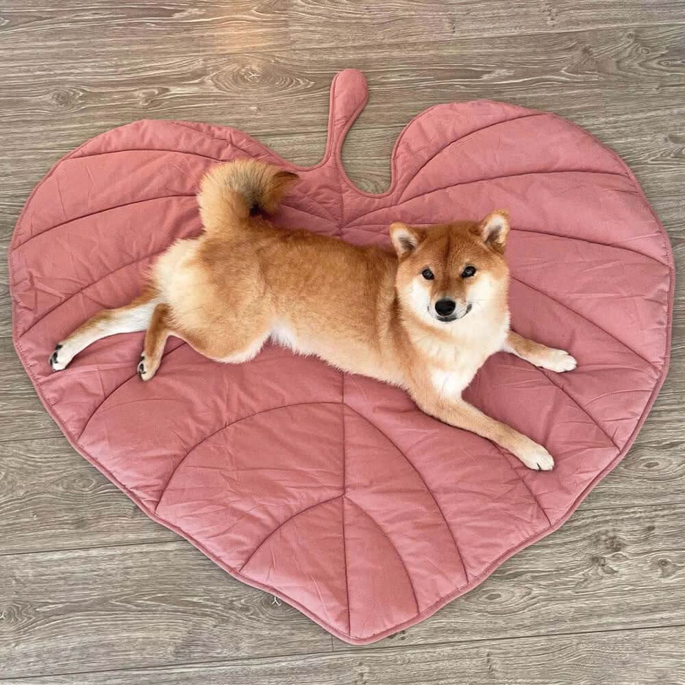 Cozy Leaf Shaped Pet Blanket