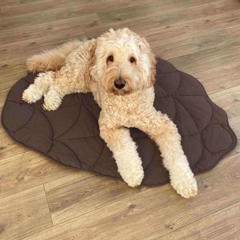 Cozy Leaf Shaped Pet Blanket