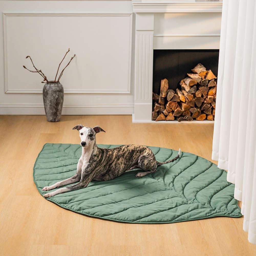 Cozy Leaf Shaped Pet Blanket