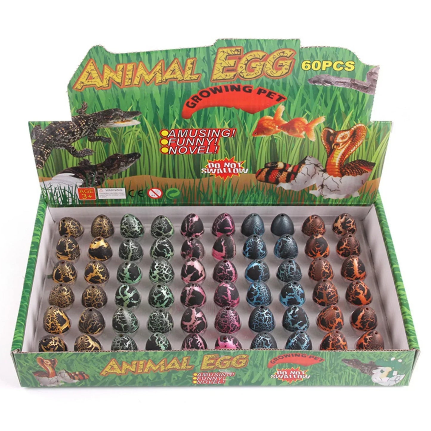 Exciting Educational Dino Play Set