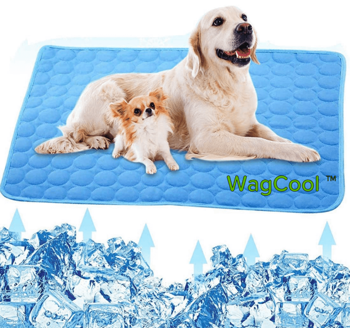 Cool Pet Bed for Hot Summer Days
