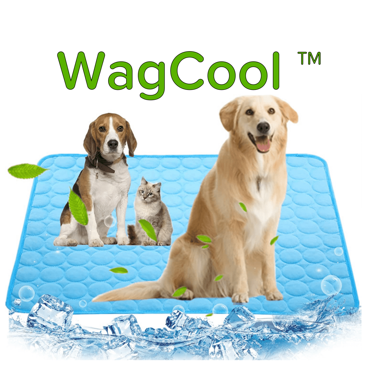 Cool Pet Bed for Hot Summer Days - Luxicro