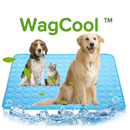 Cool Pet Bed for Hot Summer Days - Luxicro