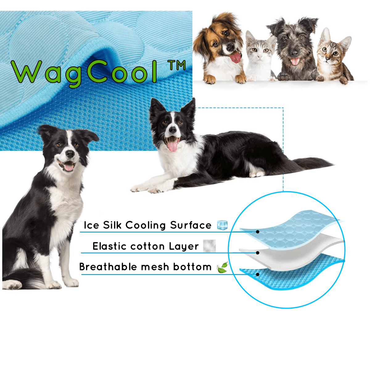 Cool Pet Mat for Summer Relief
