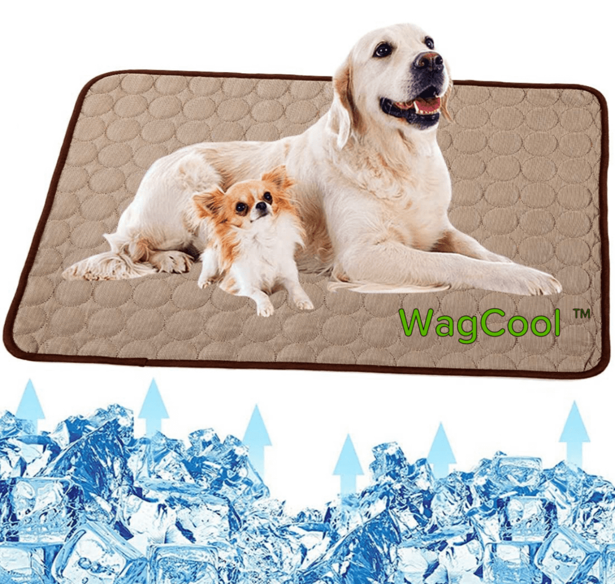 Cool Pet Bed for Hot Summer Days