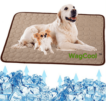 Cool Pet Bed for Hot Summer Days
