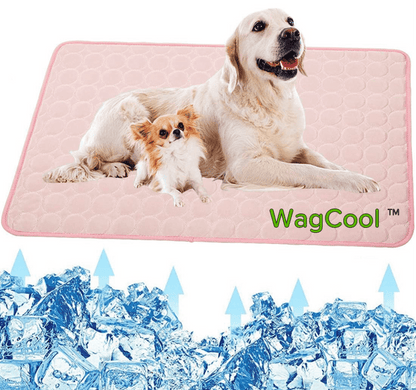 Cool Pet Bed for Hot Summer Days