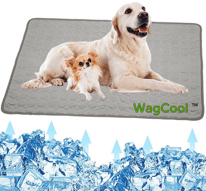 Cool Pet Bed for Hot Summer Days