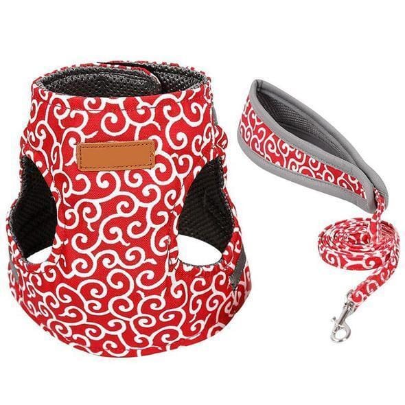 Cute Kitty Adjustable Harness Walking Kit