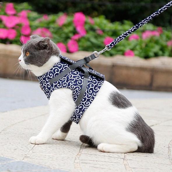 Comfortable Cat Harness and Leash Set for Walking