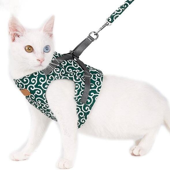 Cute Kitty Adjustable Harness Walking Kit