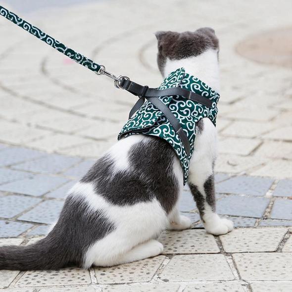 Soft Kitty Walking Harness and Leash Kit