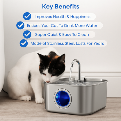 Easy Clean Pet Water Dispenser Fountain