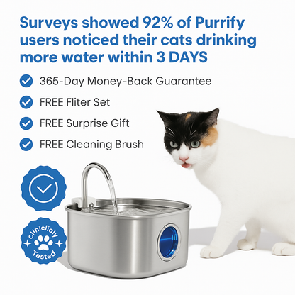 Easy Clean Pet Water Dispenser Fountain