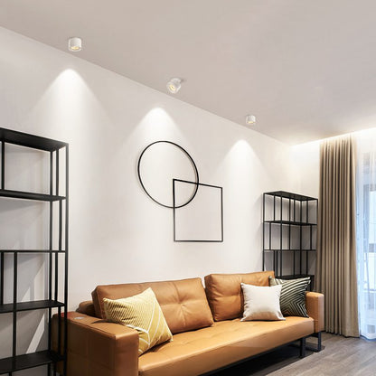Adjustable Circular Recessed LED Ceiling Lamp