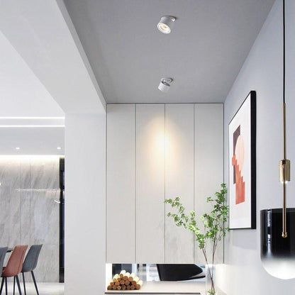 Adjustable Circular Recessed LED Ceiling Lamp