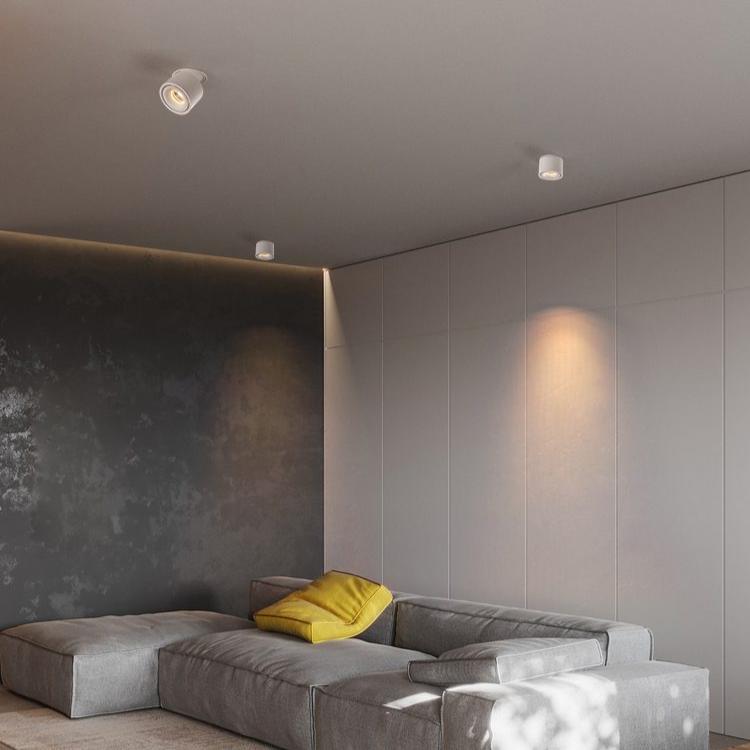 Adjustable Circular Recessed LED Ceiling Lamp