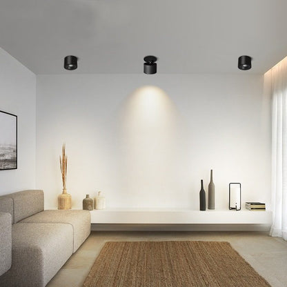 Adjustable Circular Recessed LED Ceiling Lamp