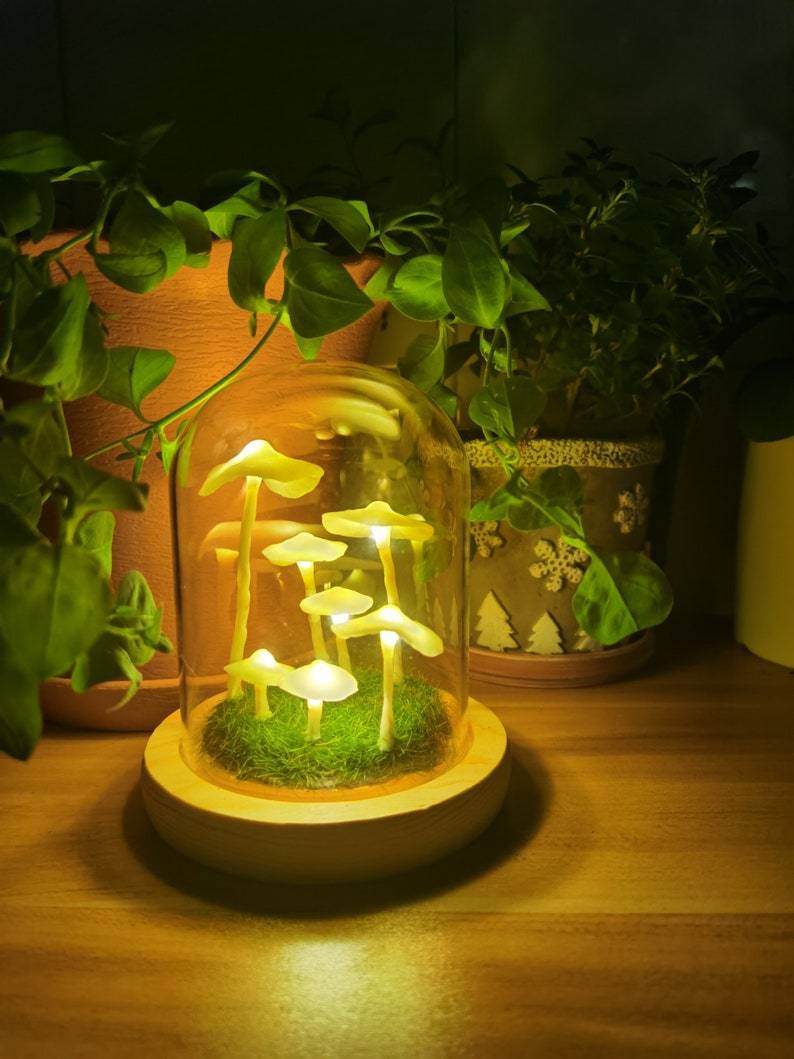 Easy Grow Mushroom Kit Glass Jar