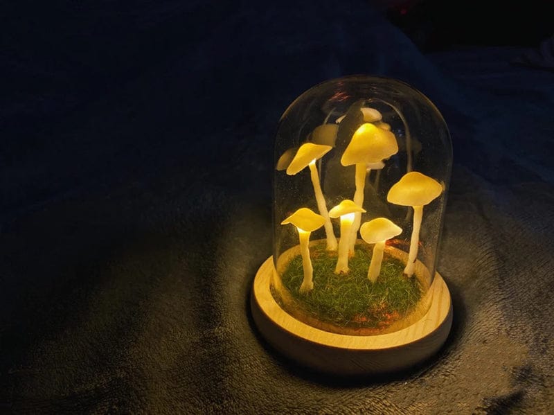 Simple Mushroom Growing Kit - Mini Indoor Garden
