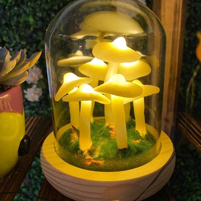 Simple Mushroom Growing Kit - Mini Indoor Garden