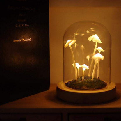 Simple Mushroom Growing Kit - Mini Indoor Garden