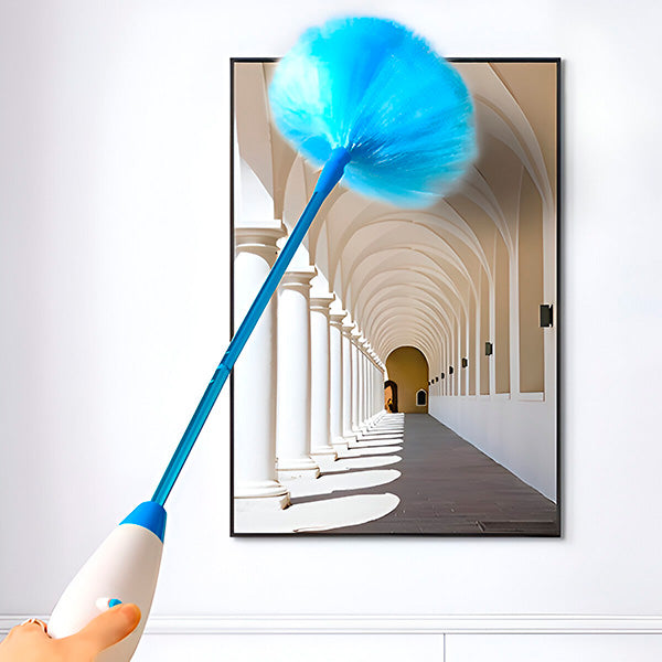 Effective Dust Cleaning Brush
