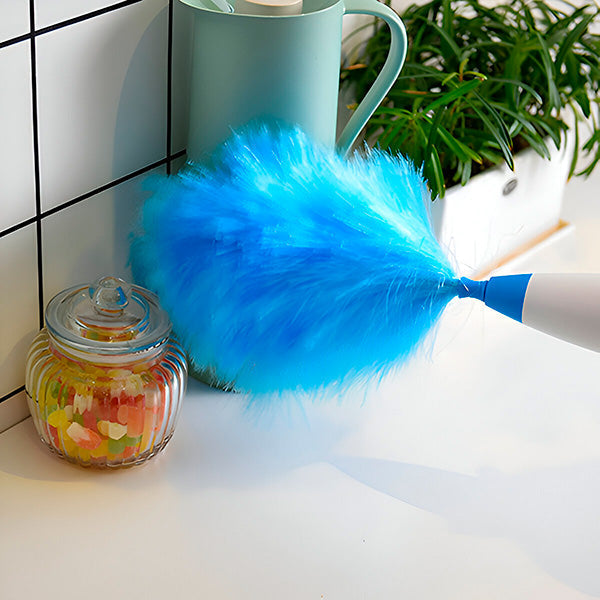 Effective Dust Cleaning Brush