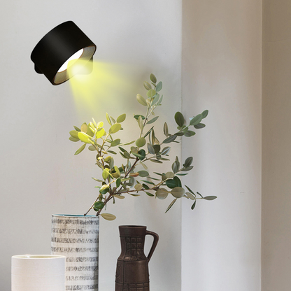 Wireless Solar Powered Outside Light