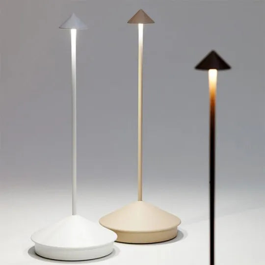 Compact Portable LED Desk Light