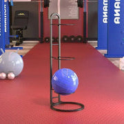 Compact Sports Ball Storage Shelf