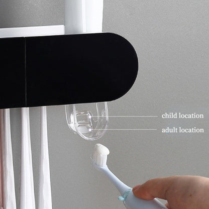 Compact Wall Mount Shelf Storage Organizer