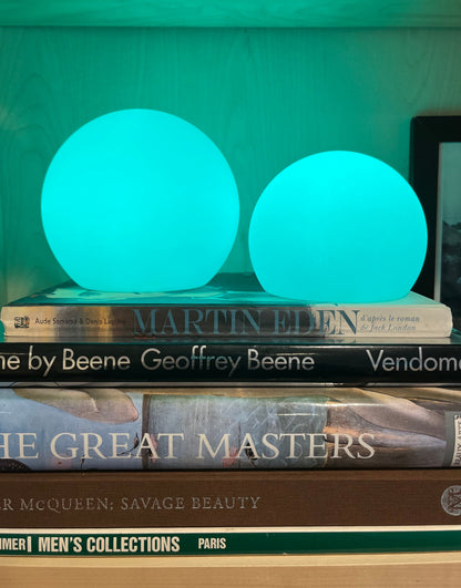 Bright Portable LED Desk Lamp