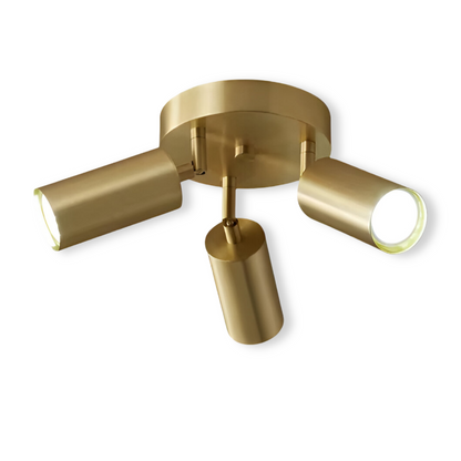 Elegant Brass LED Ceiling Lamp Fixtures