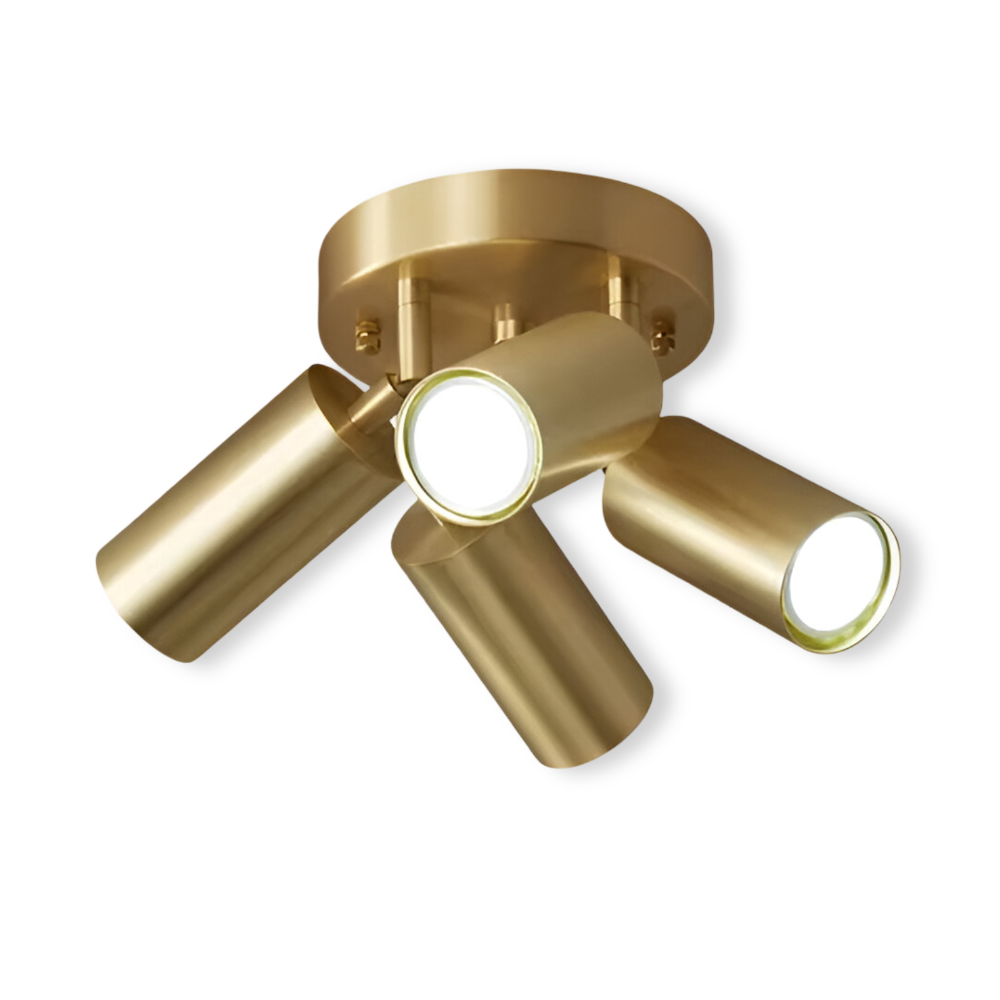 Elegant Brass LED Ceiling Lamp Fixtures