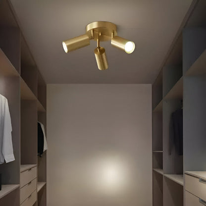 Elegant Brass LED Ceiling Lamp Fixtures