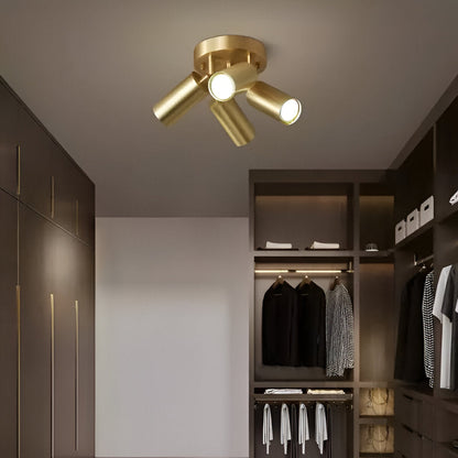 Elegant Brass LED Ceiling Lamp Fixtures