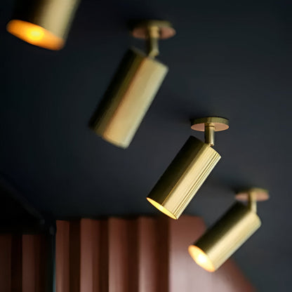 Elegant Brass LED Ceiling Lamp Fixtures