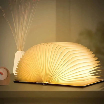 Stylish Novelty LED Table Lamp
