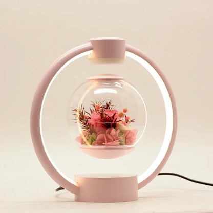 Modern Floating LED Desk Lamp