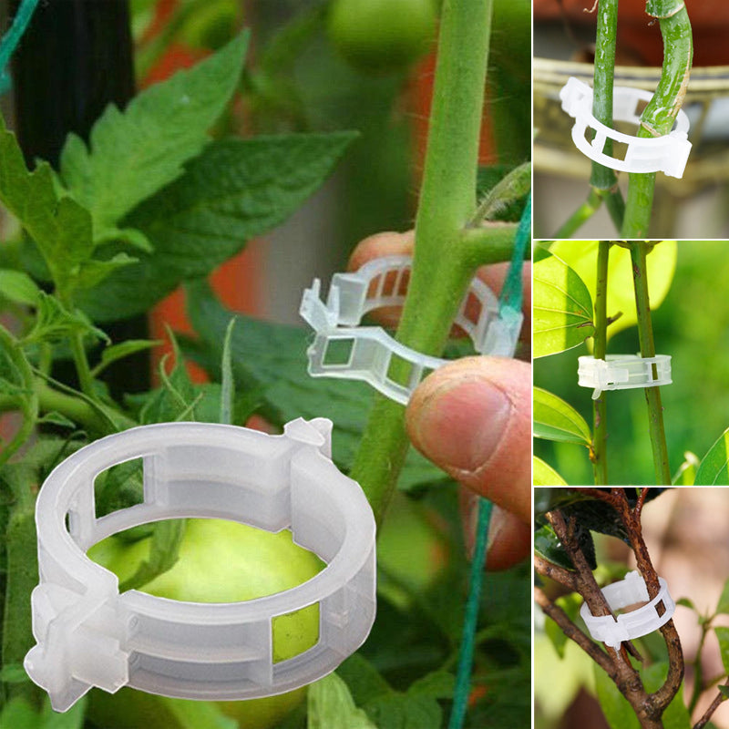 Easy Plant Stem Clip Holder
