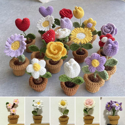 Colorful Hand Knit Flower Decor