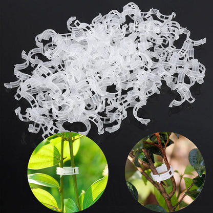 Easy Plant Stem Clip Holder