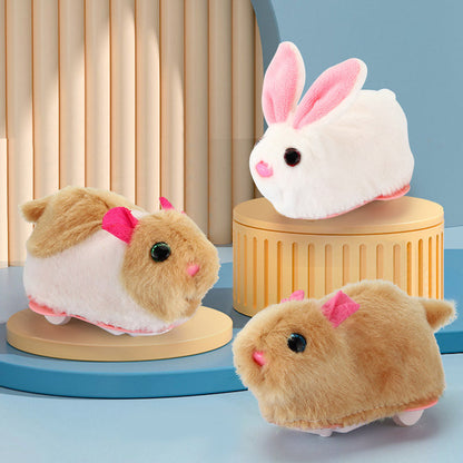 Bouncy Pet Play Ball Toy